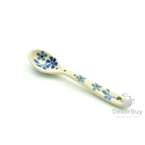 spoon for spices